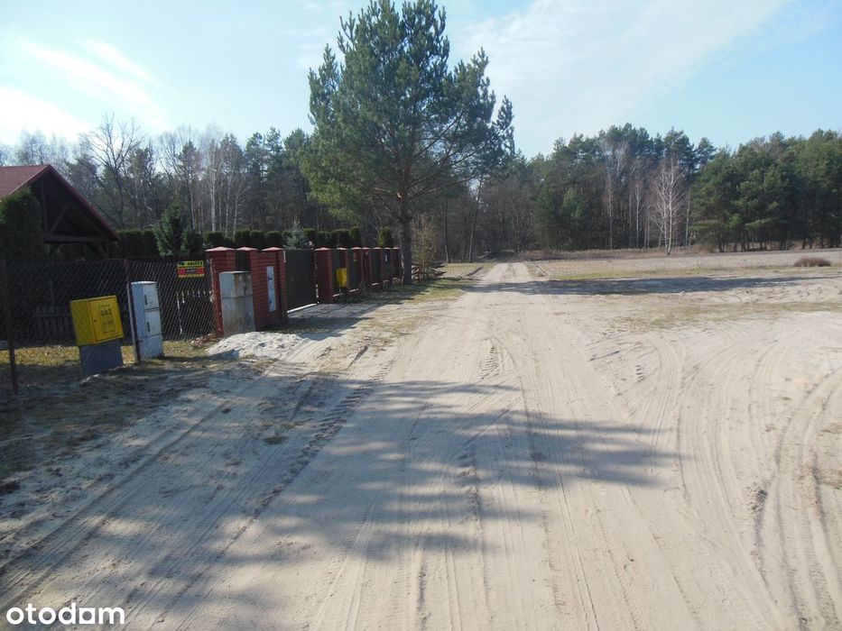 Działka 7696 m² z mediami w spokojnej okolicy