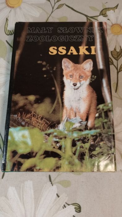 Ssaki. Mały słownik zoologiczny.