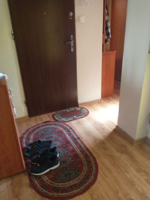 Pokój do wynajęcia