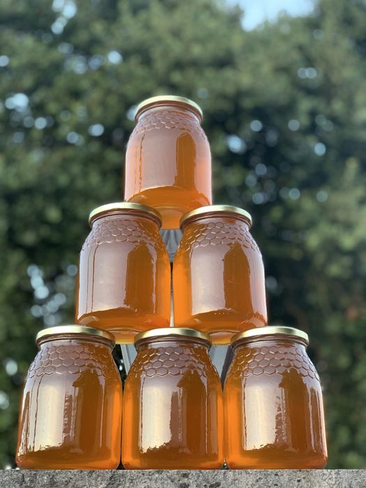 Mel biologico de rosmaninho