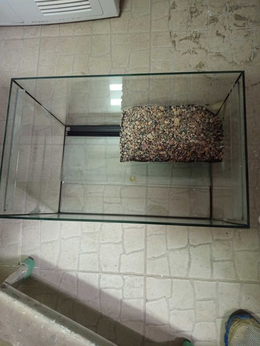 turtle aquarium63824737542273120