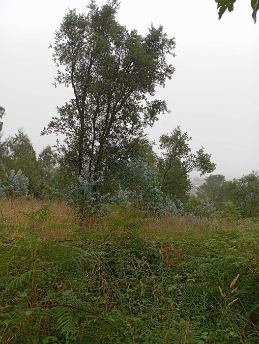 Terreno Urbano 1536M para construção