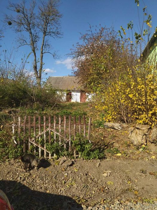 Земельна ділянка Ружичанка вул Центральна