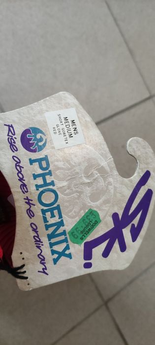 Рукавиці лижні чоловічі PHOENIX Ski на gore-tex