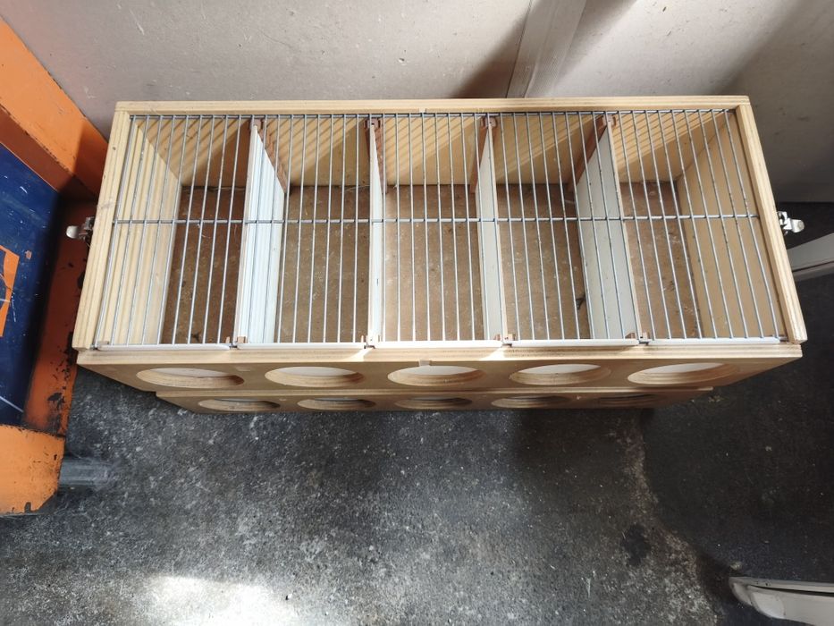 Transportadora para aves