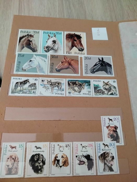 Klaser ze znaczkami oferta dla filatelistów