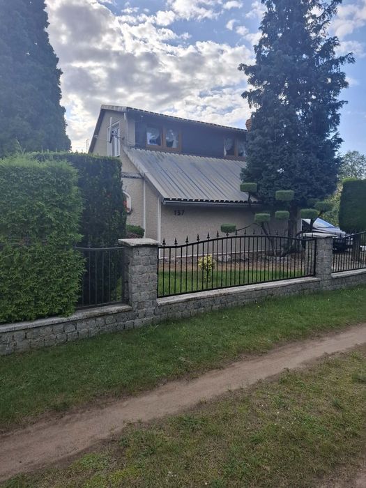działka ROD Pod Żurawiem w Prądocinie - Widok 3