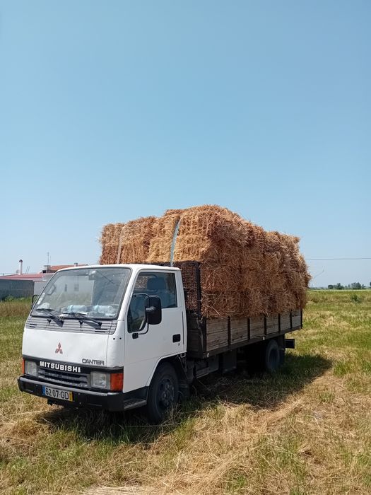 Vendo fardos de feno