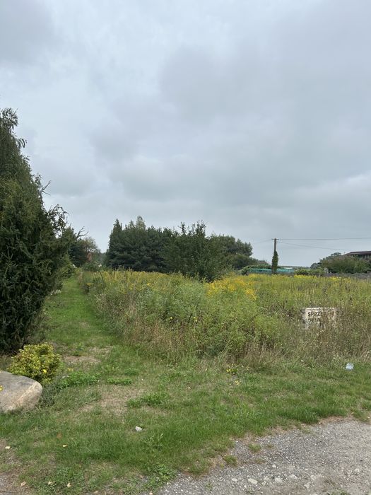 Dąbrówka , pow Wołomiński  800 m