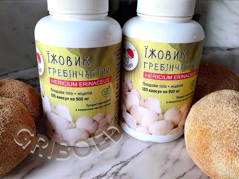 240 капсул (2 банки) ЕЖЕВИКА ГРЕБЕНЧАТОГО - двухмесячный курс!