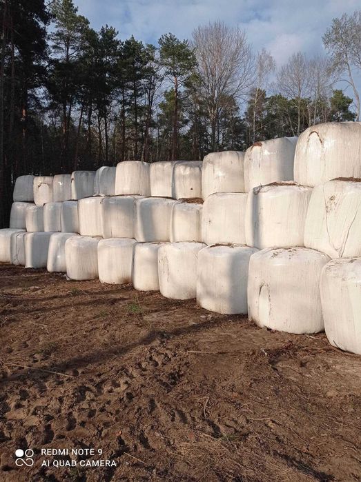 Sprzedam bele sianokiszonki