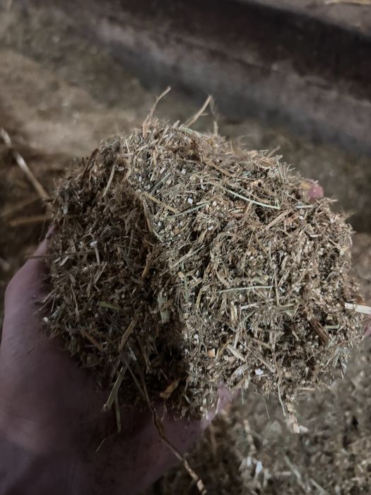 Suchy tmr dla cieląt