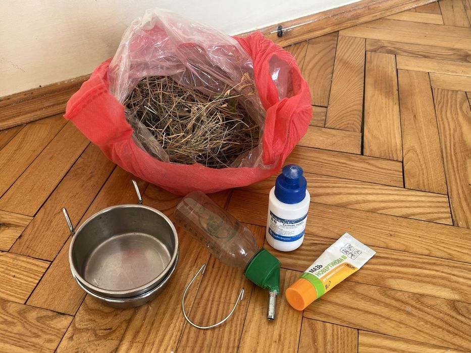 Клітка та переноска для гризуна