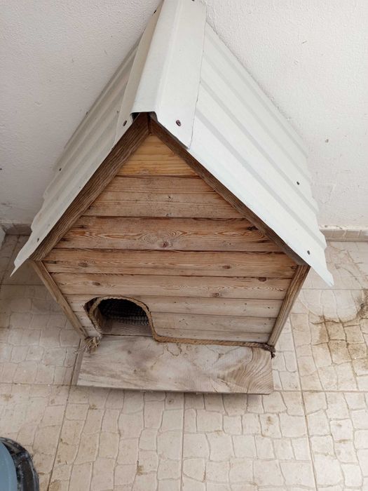 Casota em madeira para cão