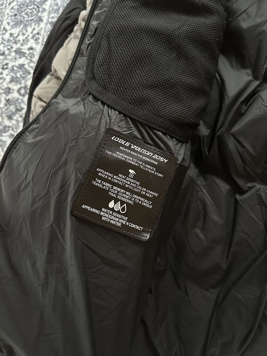 Пуховик Louis Vuitton