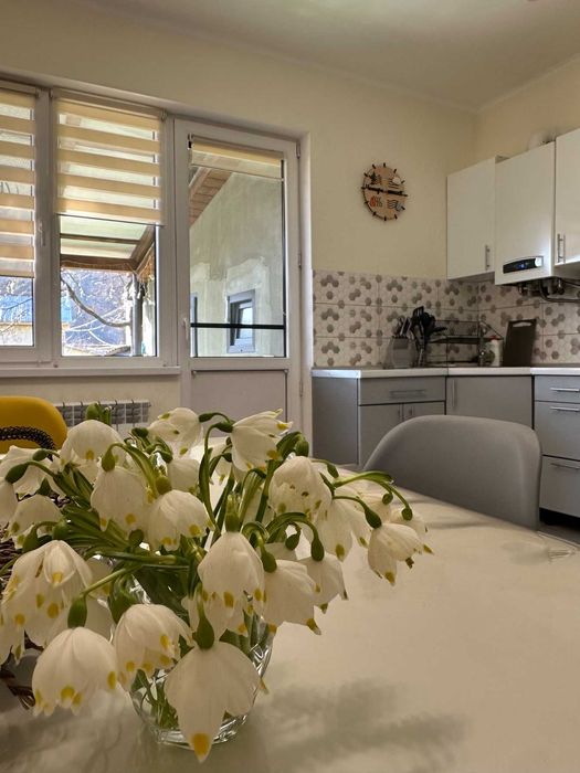 Садиба Чотири стихії з окремим двориком ЧАН, мангал, тераса в Міжгір'ї