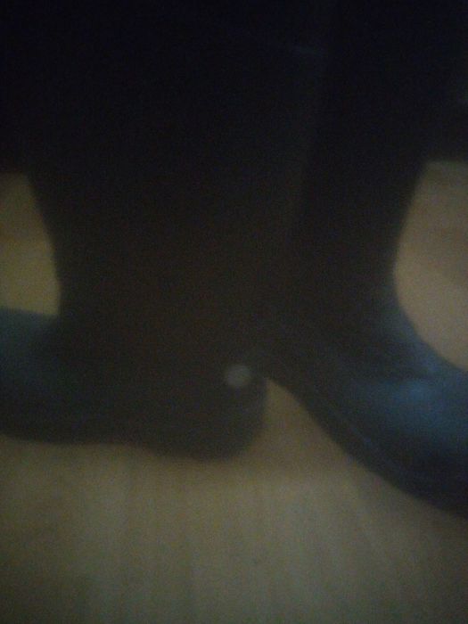 Сапоги резиновые терминатор