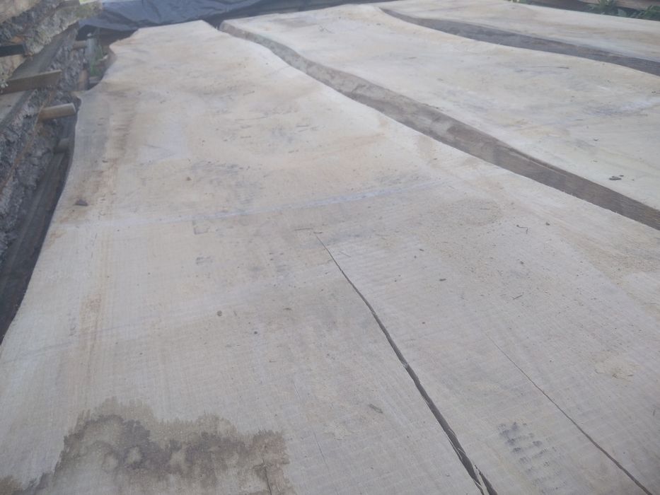 Monolity dębowe ,jesionowe, orzechowe