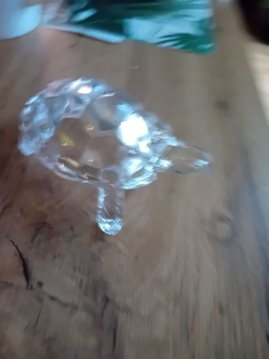 Żułw szklany dla kolekcjonera