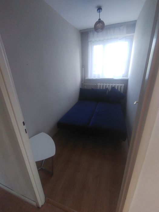 2 pokoje, Popiela, wolne od zaraz - Widok 5