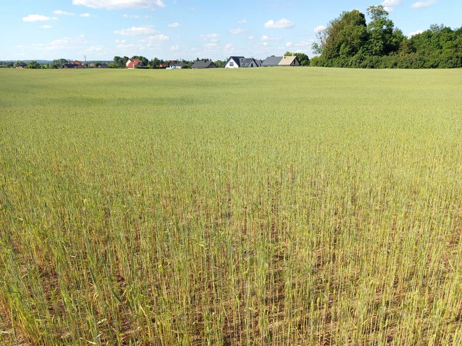 Ziemia nieruchomość działki - View 2