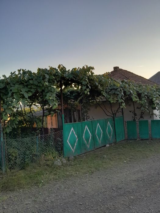 Продається затишний будинок у селі Вільховиця