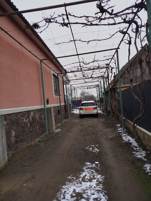 Труби Виноградник або під теплицю