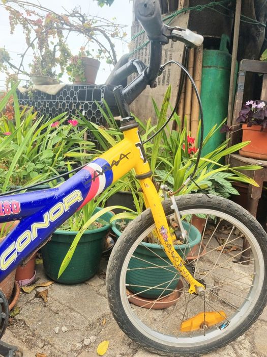 Bicicleta (6-8 anos)