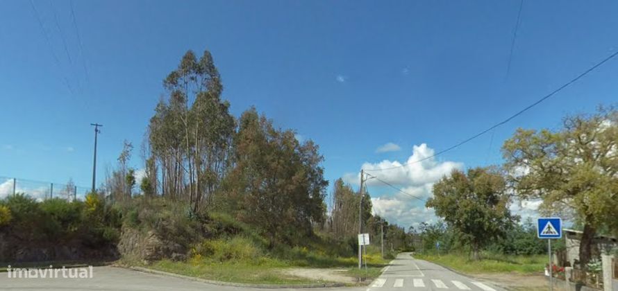 Terreno rústico junto à Feira de Carregal do Sal