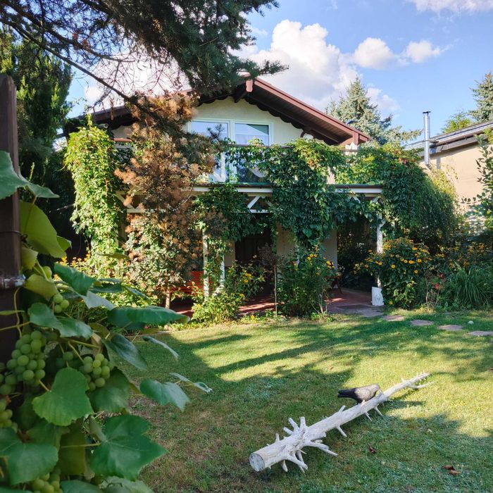 Działka ROD Szafirek