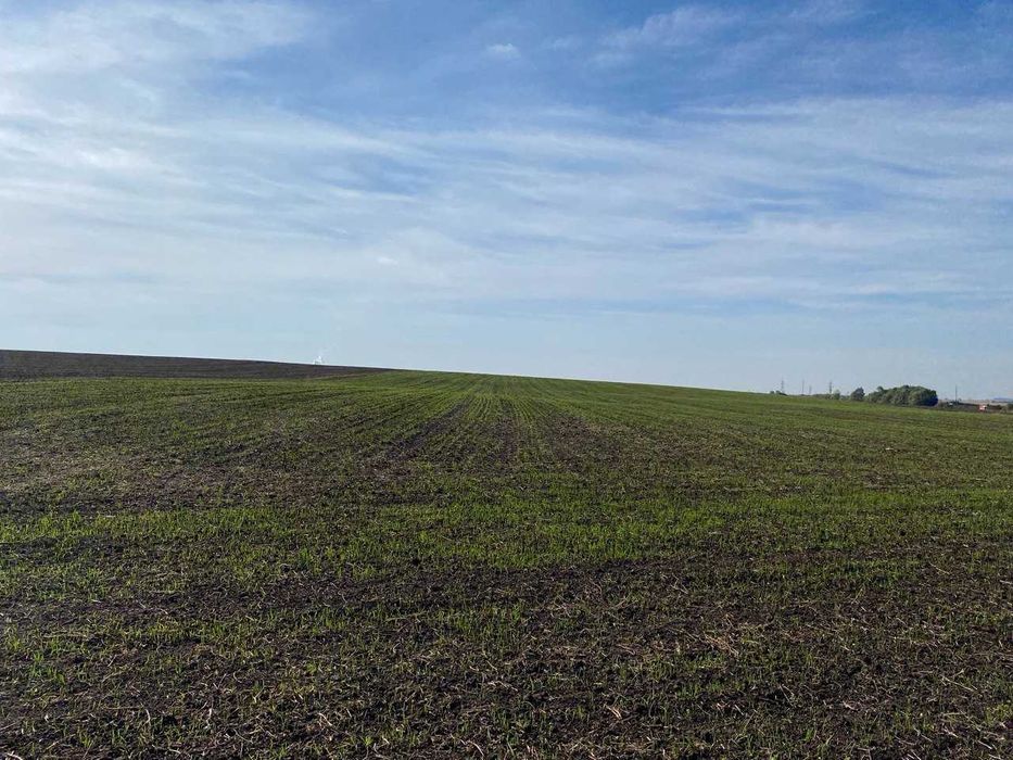 Продам ділянку 2.71 Га   в Колоденці БЕЗ ОБМЕЖЕНЬ