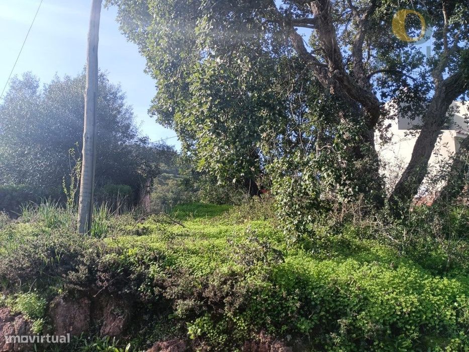 Terreno Venda Loulé