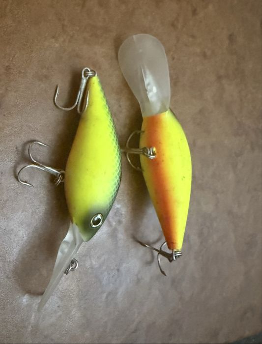 Amostras afundantes X rat