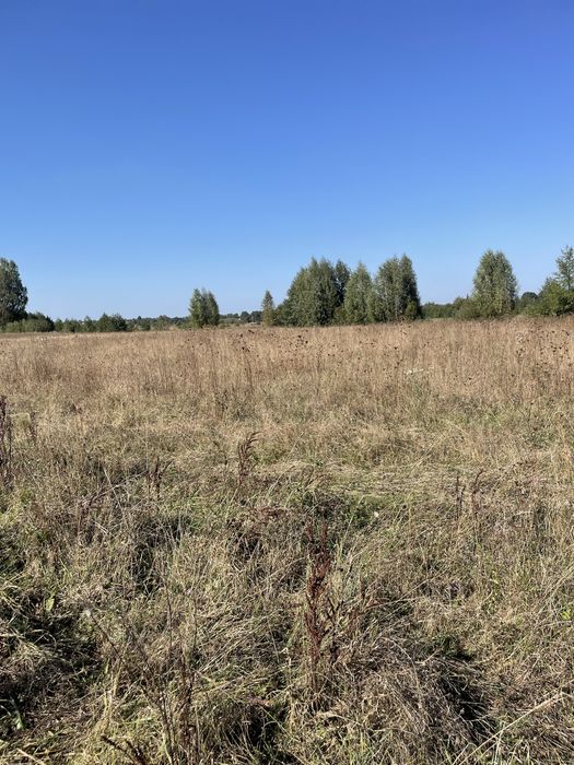 Будинок хутір біля Полиць