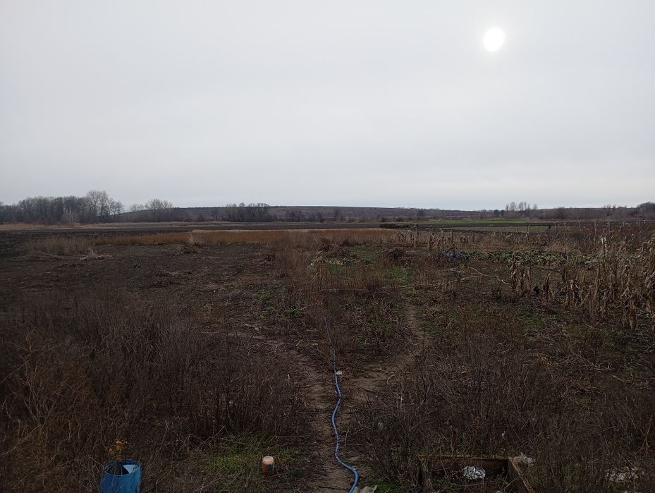 За детальною інформацією звертайтесь за номером телефону