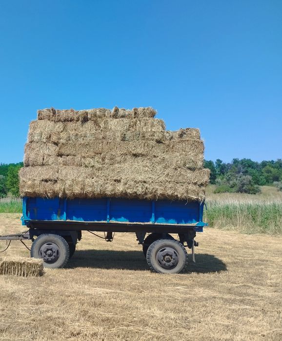 Продам сено луговое
