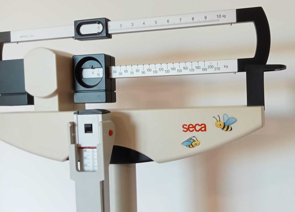 Balança mecânica c/craveira - SECA 700