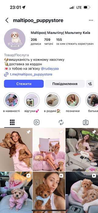 Дівчинка мальтіпу справжній люкс