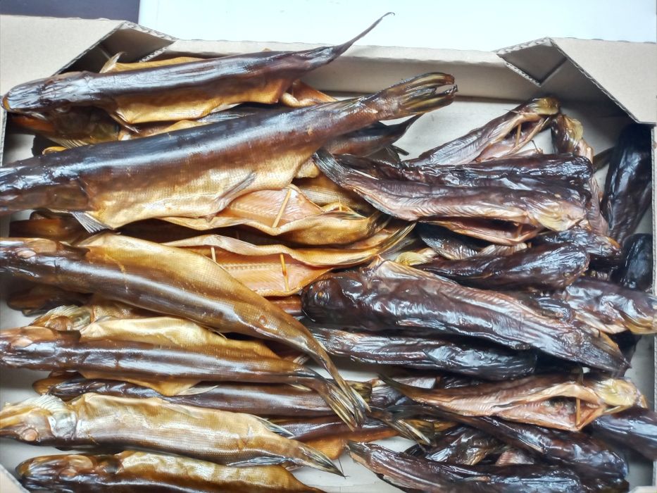 Копчена риба,сомики, лящ, щука,судак, сом.Риба з печі карась на соломі