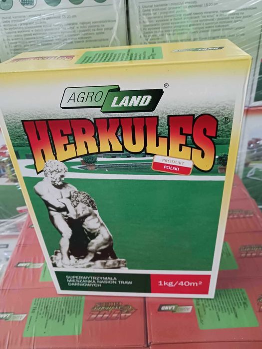 Trawa,trawy gazonowe, trawnik, nasiona traw