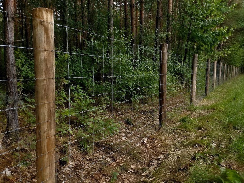 Ogrodzenie leśne tymczasowe budowlane słupki drewniane
