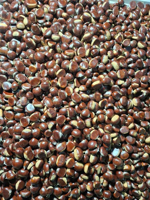 Vende se castanhas para revenda