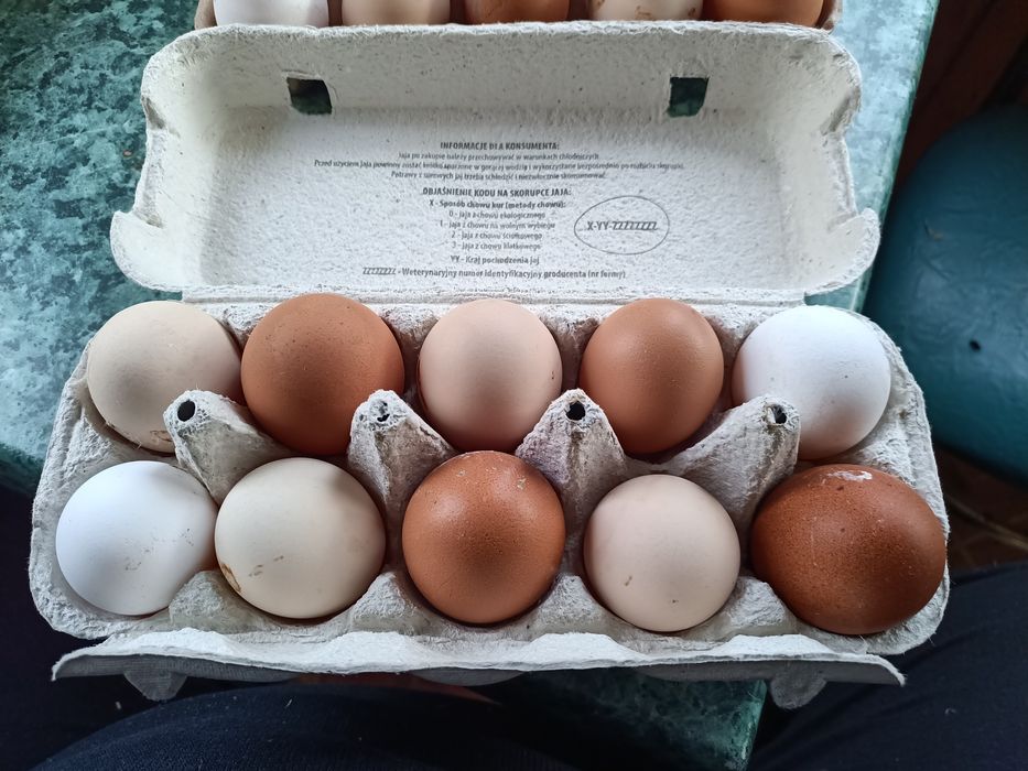 Sprzedam Jajka wiejskie