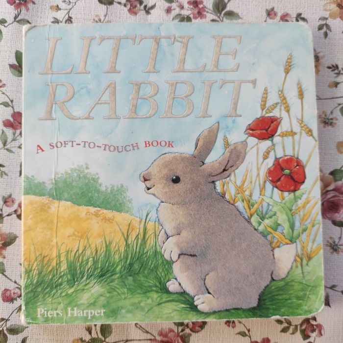 Little Rabbit książka dotykowa dla dzieci po angielsku