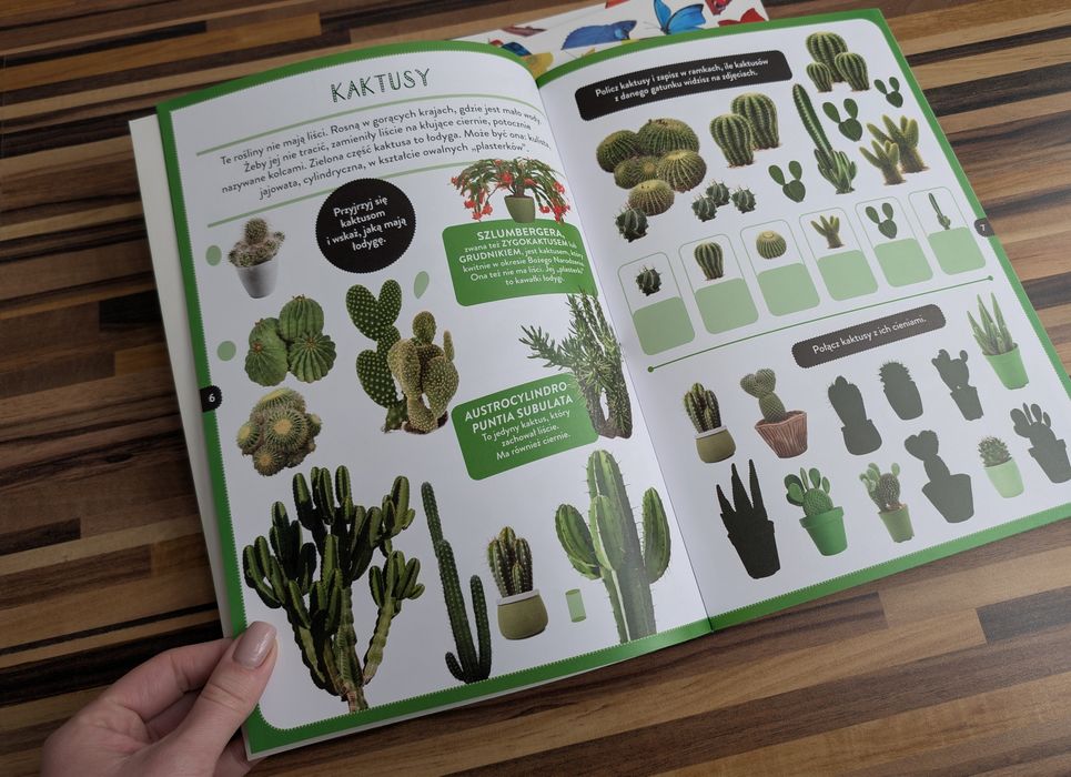 Zestaw młodzi przyrodnicy kolorowa przyroda żółta niebieska czerwona