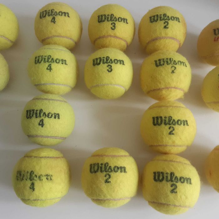 Lote de 16 Bolas de Ténis Tennis Wilson Usadas Boas