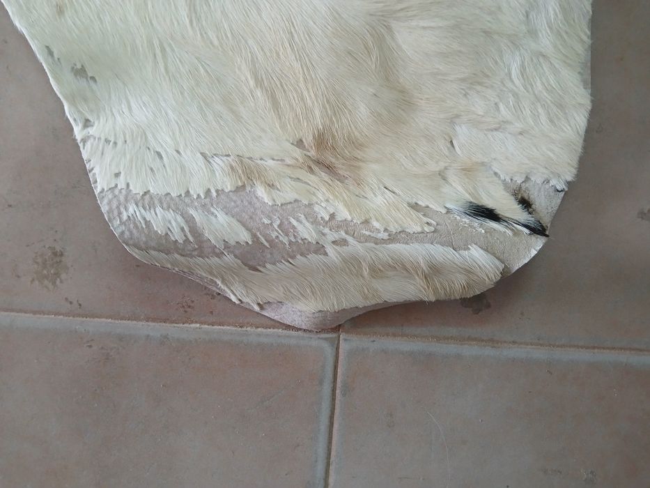 Pele de Vaca 2.00m×1.90m