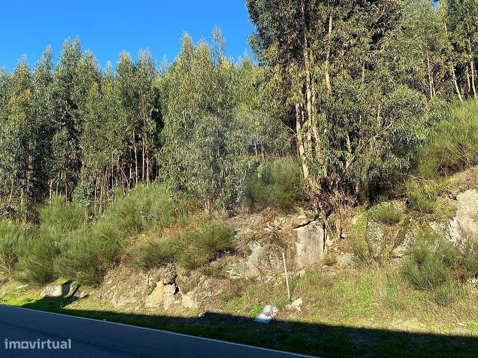 Terreno  para venda