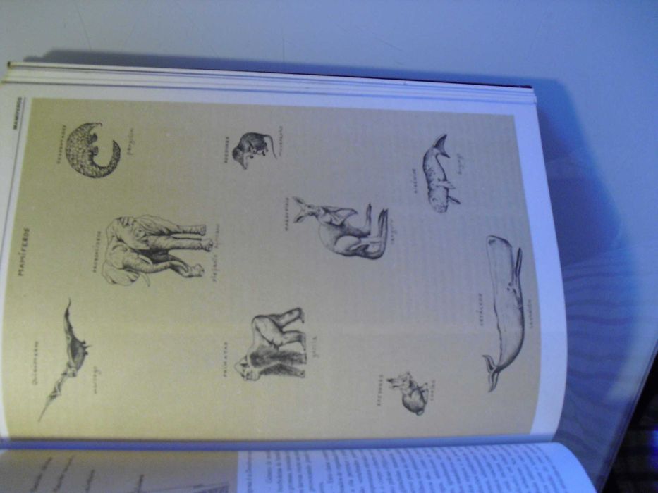 Vários;Dicionário de Zoologia Ilustrado