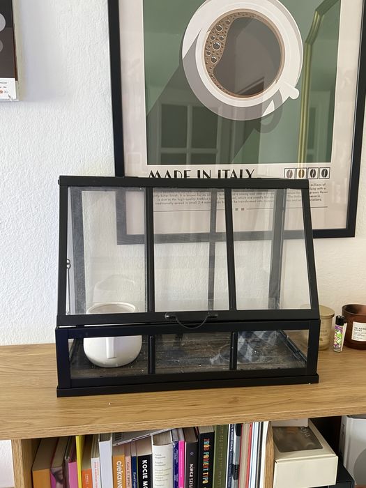 Czarna mini szklarnia AKERBAR Ikea